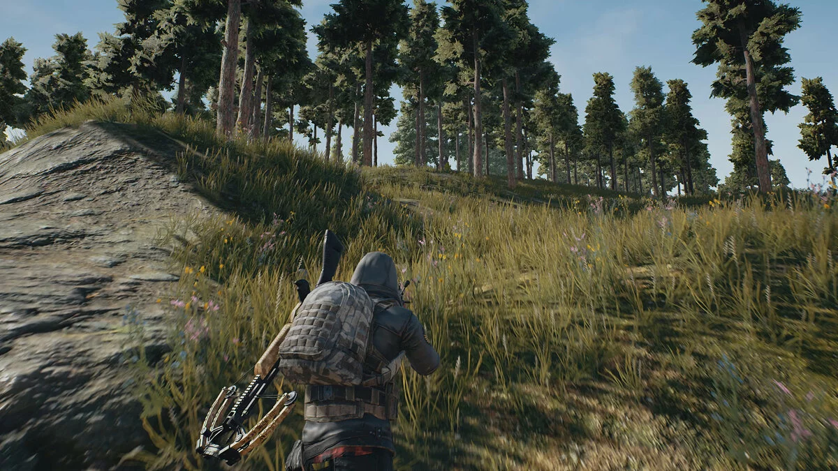 Скриншоты из PUBG: Battlegrounds / Картинка 18