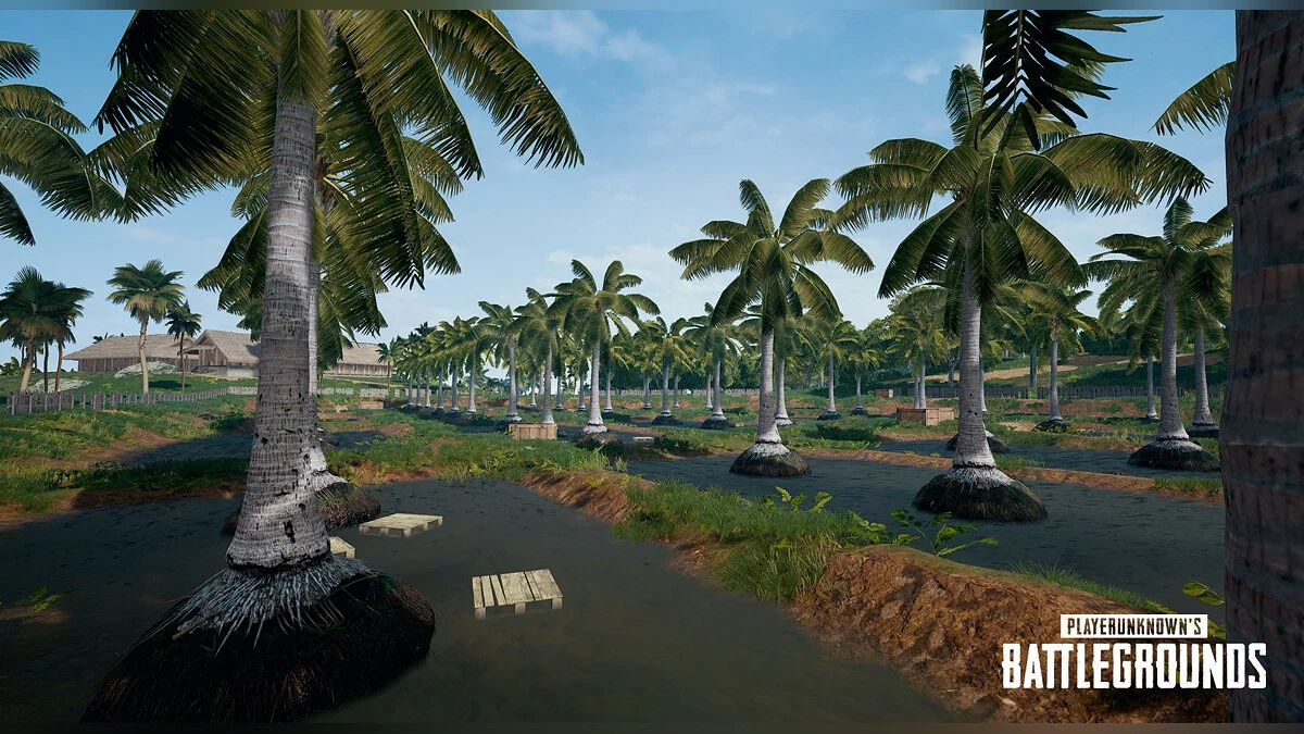 Скриншоты из PUBG: Battlegrounds / Картинка 83
