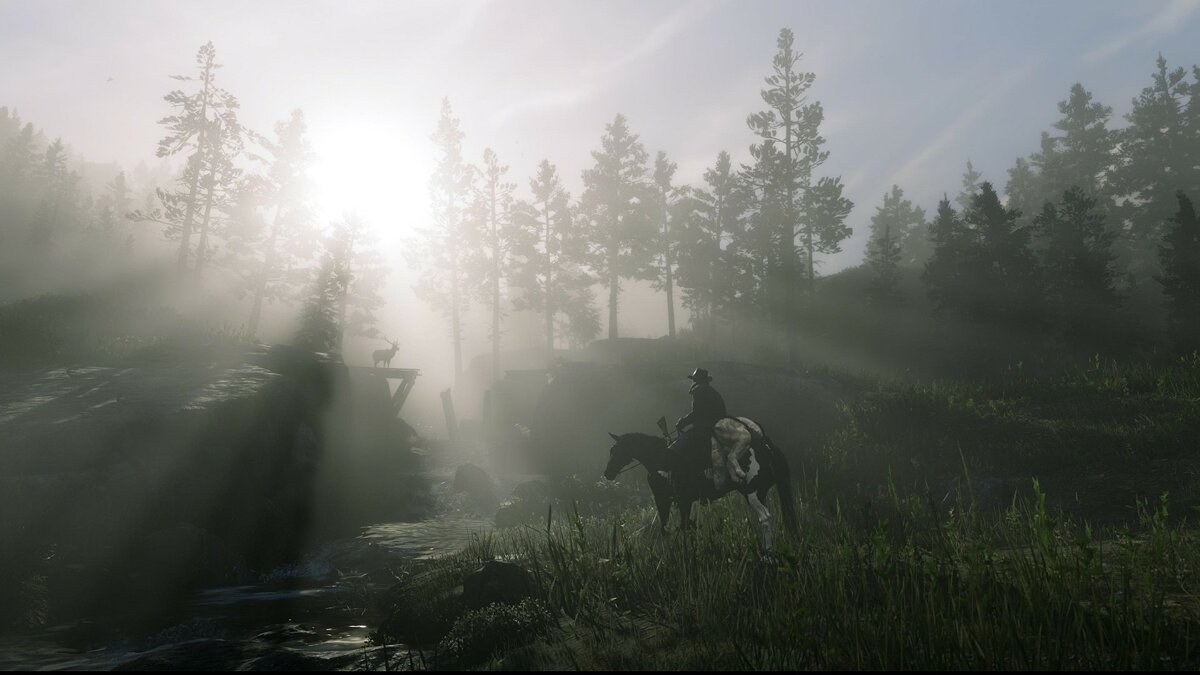 Steam buy rdr 2 фото 28