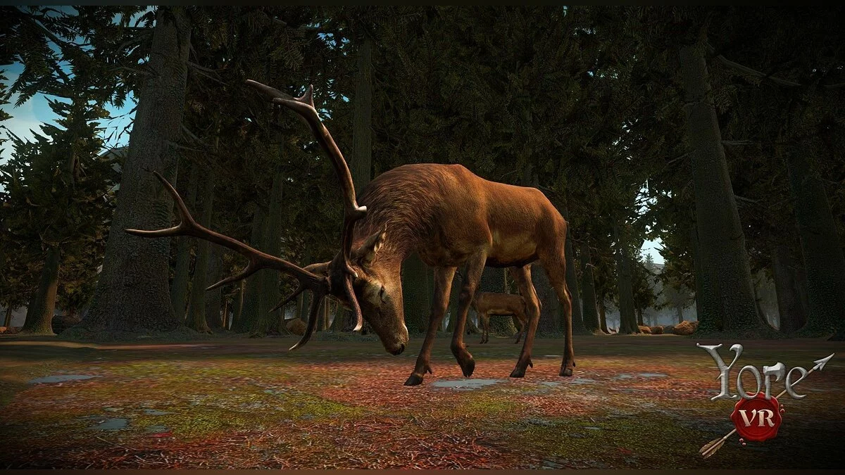 Картинка из 