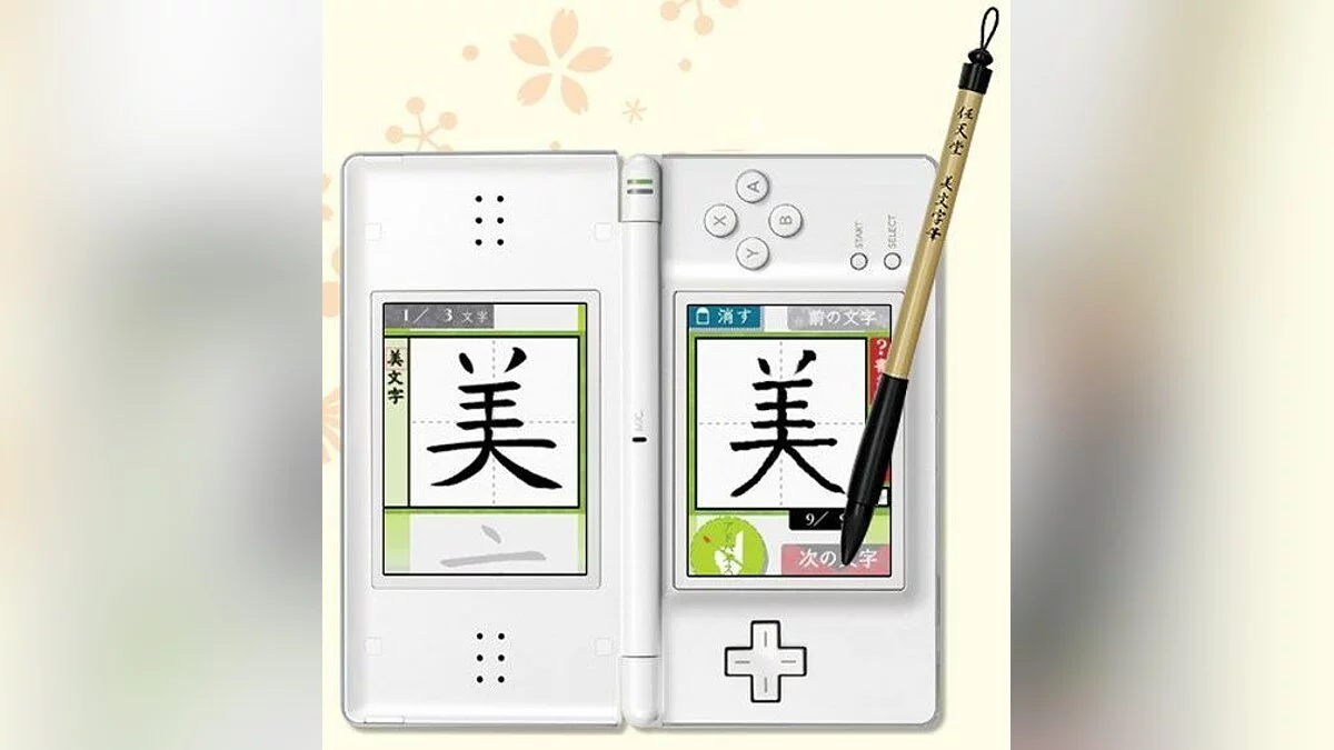 Скриншоты из DS Bimoji Training