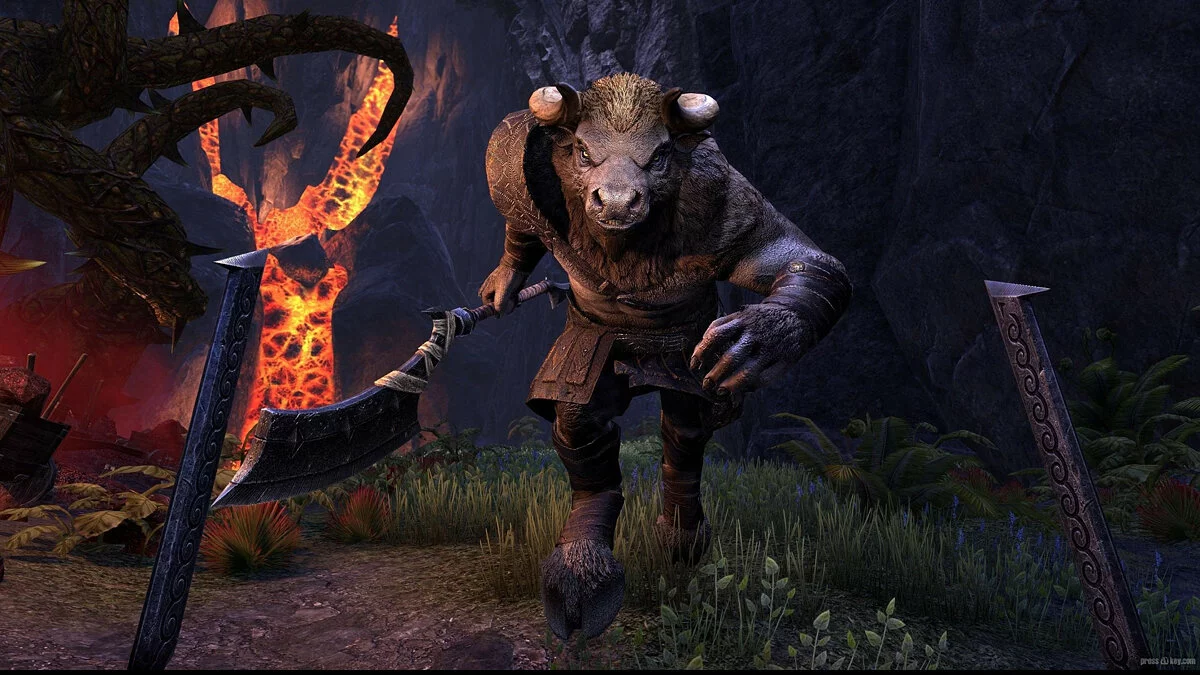 Скриншоты из The Elder Scrolls Online / Картинка 34