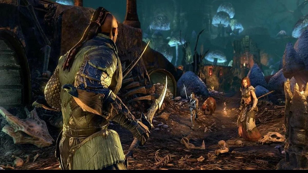 Скриншоты из The Elder Scrolls Online / Картинка 51