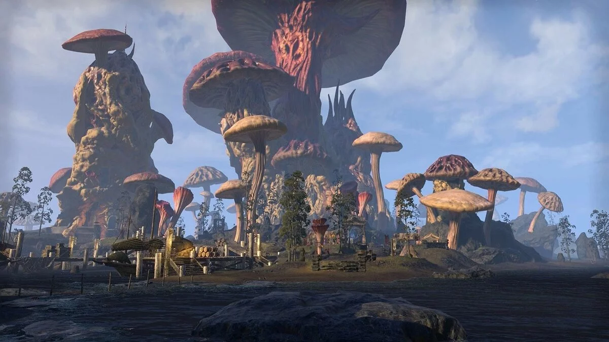 Скриншоты из The Elder Scrolls Online / Картинка 68