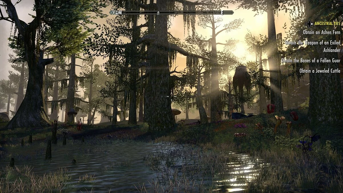 Скриншоты из The Elder Scrolls Online / Картинка 93