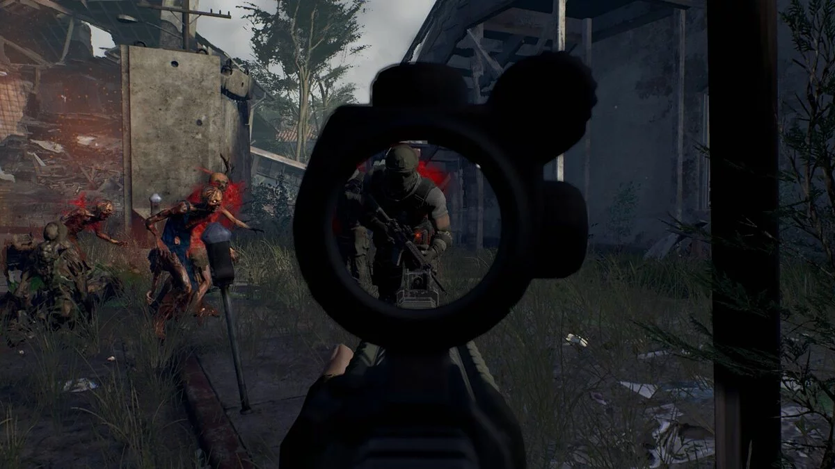 Картинка из 