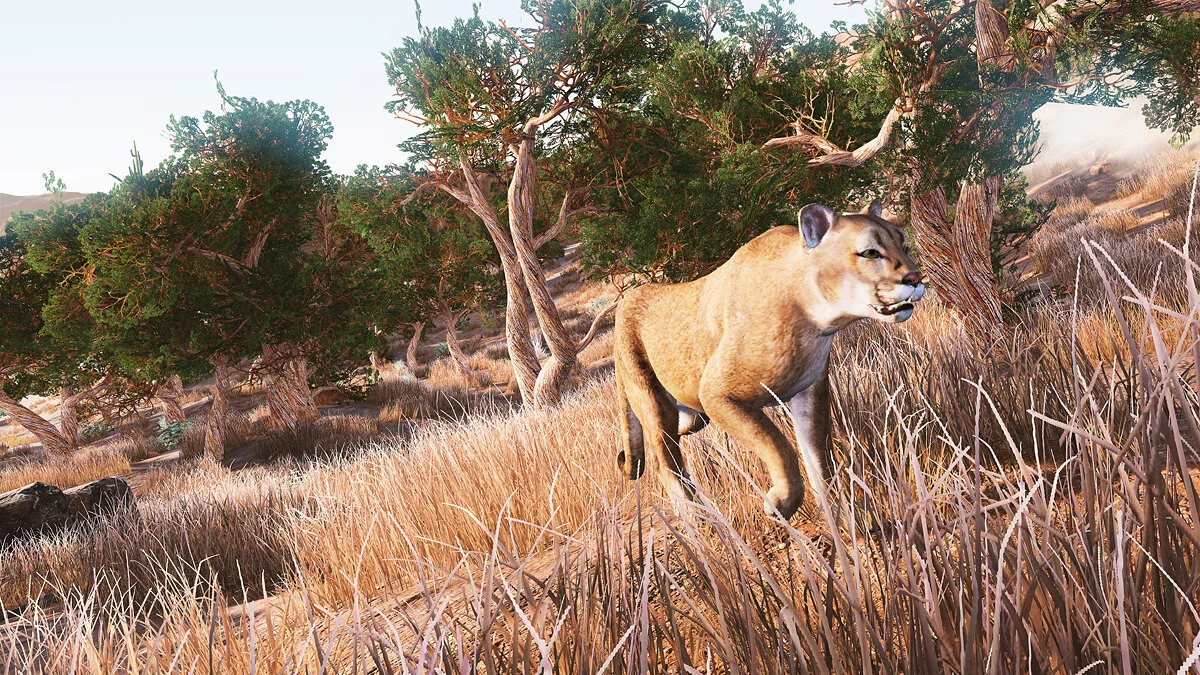 Скриншоты из Hunting Simulator