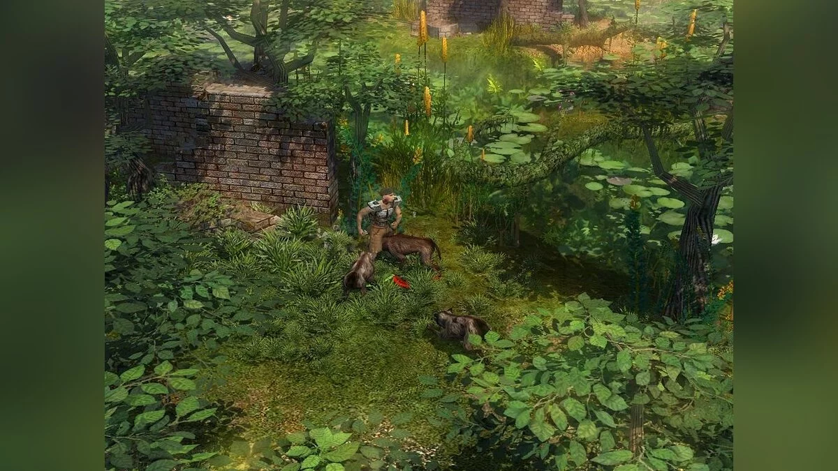 Картинка из 