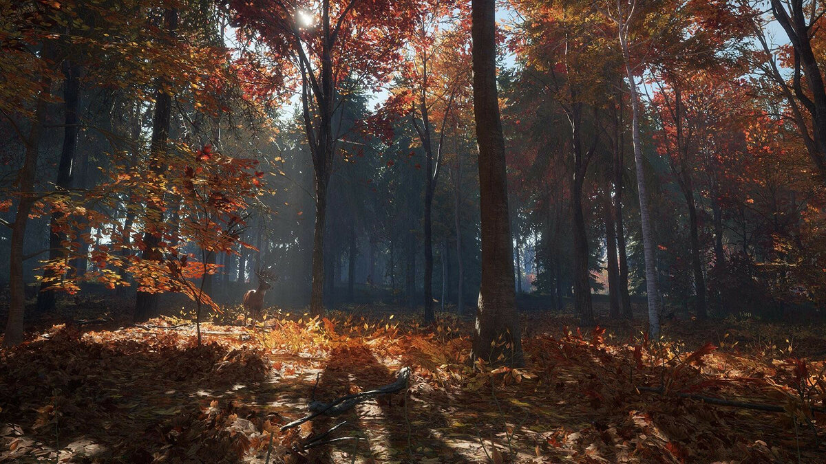 theHunter: Call of the Wild не устанавливается