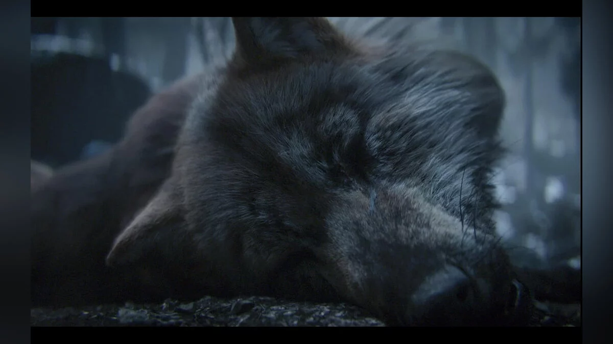 Скриншоты из Call of Duty: WWII / Картинка 251