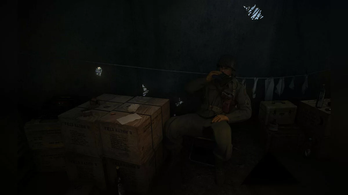 Скриншоты из Call of Duty: WWII / Картинка 843