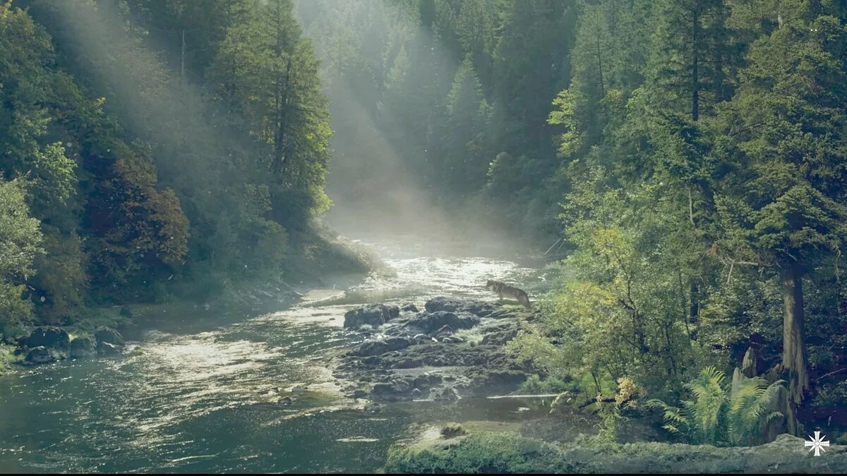 Скриншоты из Far Cry 5 / Картинка 66