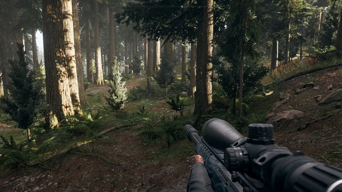 Скриншоты из Far Cry 5 / Картинка 70