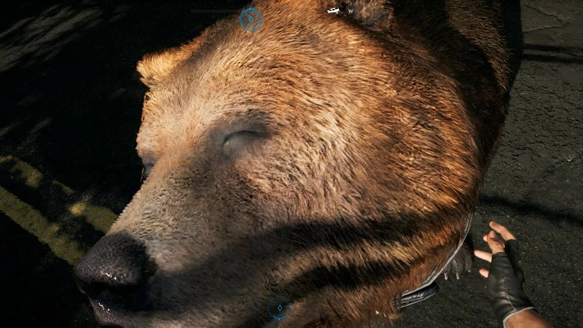 Скриншоты из Far Cry 5 / Картинка 75