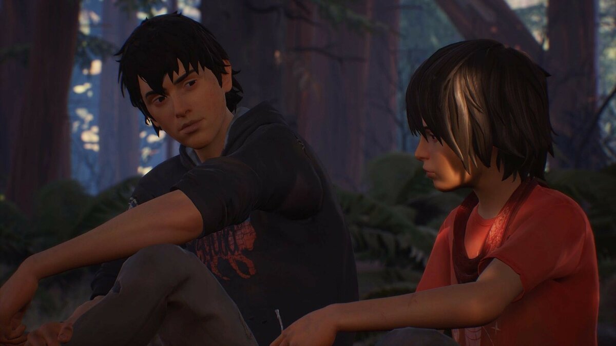 Life is Strange 2 - что это за игра, трейлер, системные требования, отзывы  и оценки, цены и скидки, гайды и прохождение, похожие игры