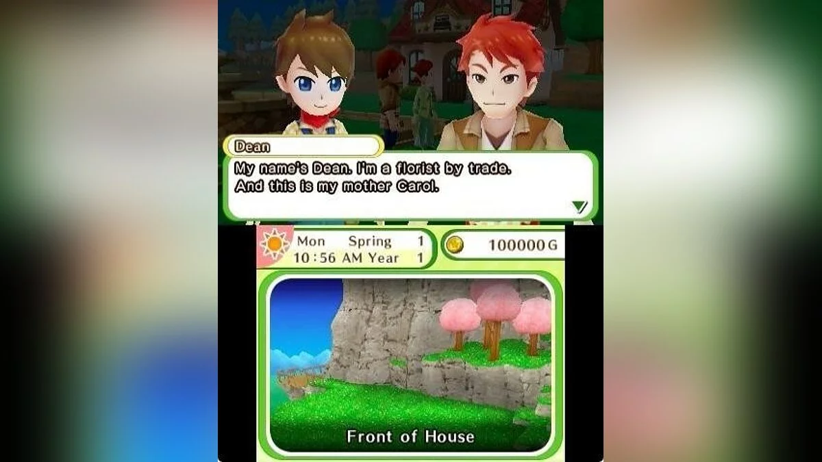 Скриншоты из Harvest Moon: Skytree Village