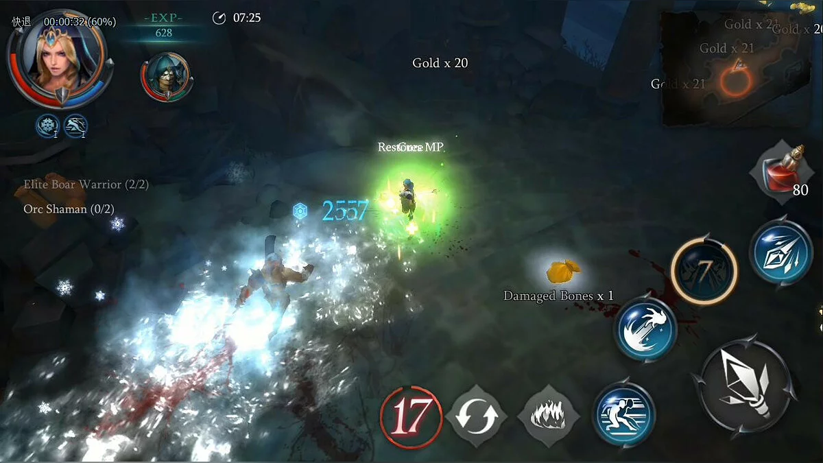 Скриншоты из Raziel: Dungeon Arena