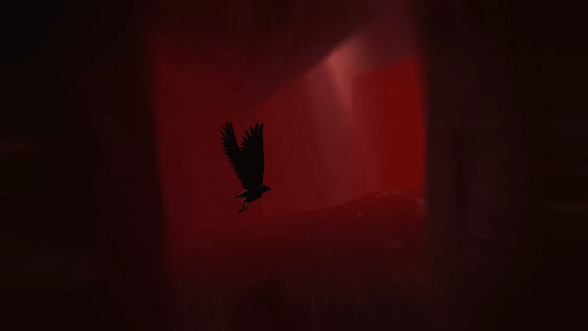 Скриншоты из Rise of Insanity