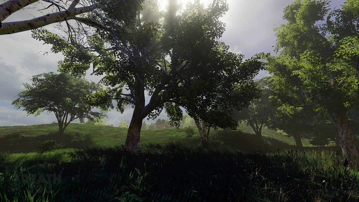 Картинка из 