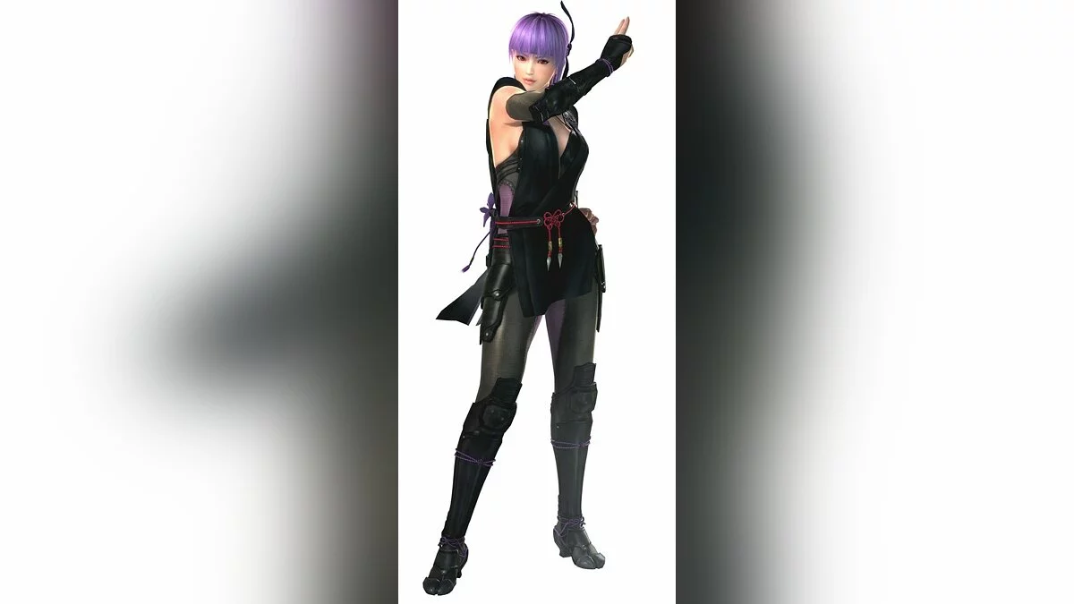 Арт из Dead or Alive 5 / Картинка 2