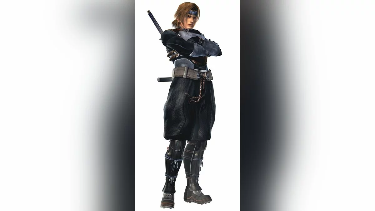 Арт из Dead or Alive 5 / Картинка 5