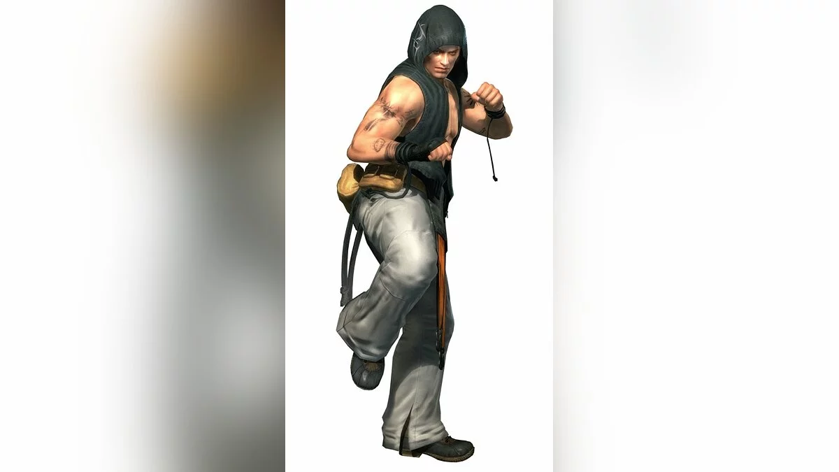 Арт из Dead or Alive 5 / Картинка 14