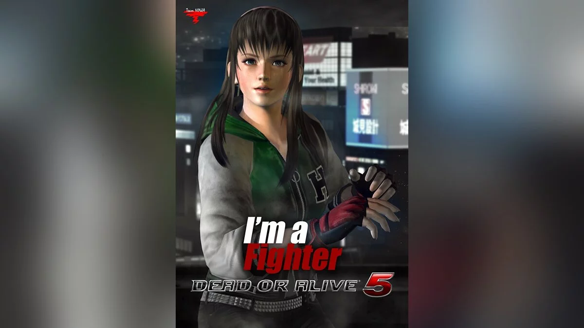 Арт из Dead or Alive 5 / Картинка 27