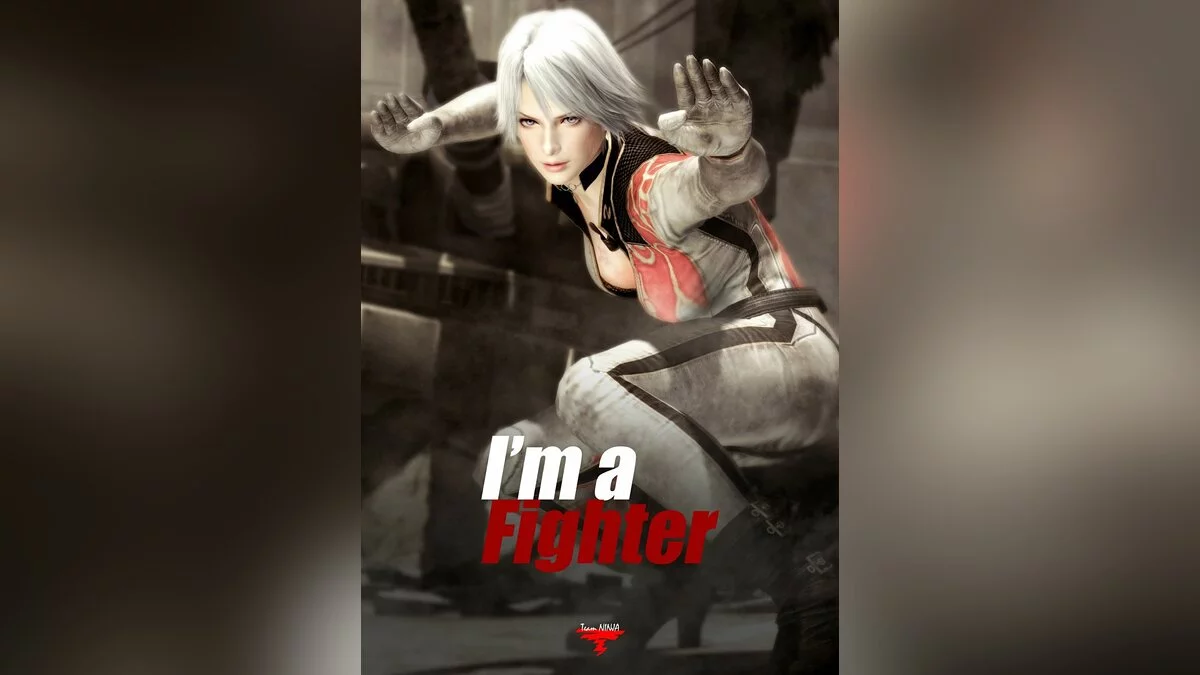 Арт из Dead or Alive 5 / Картинка 29