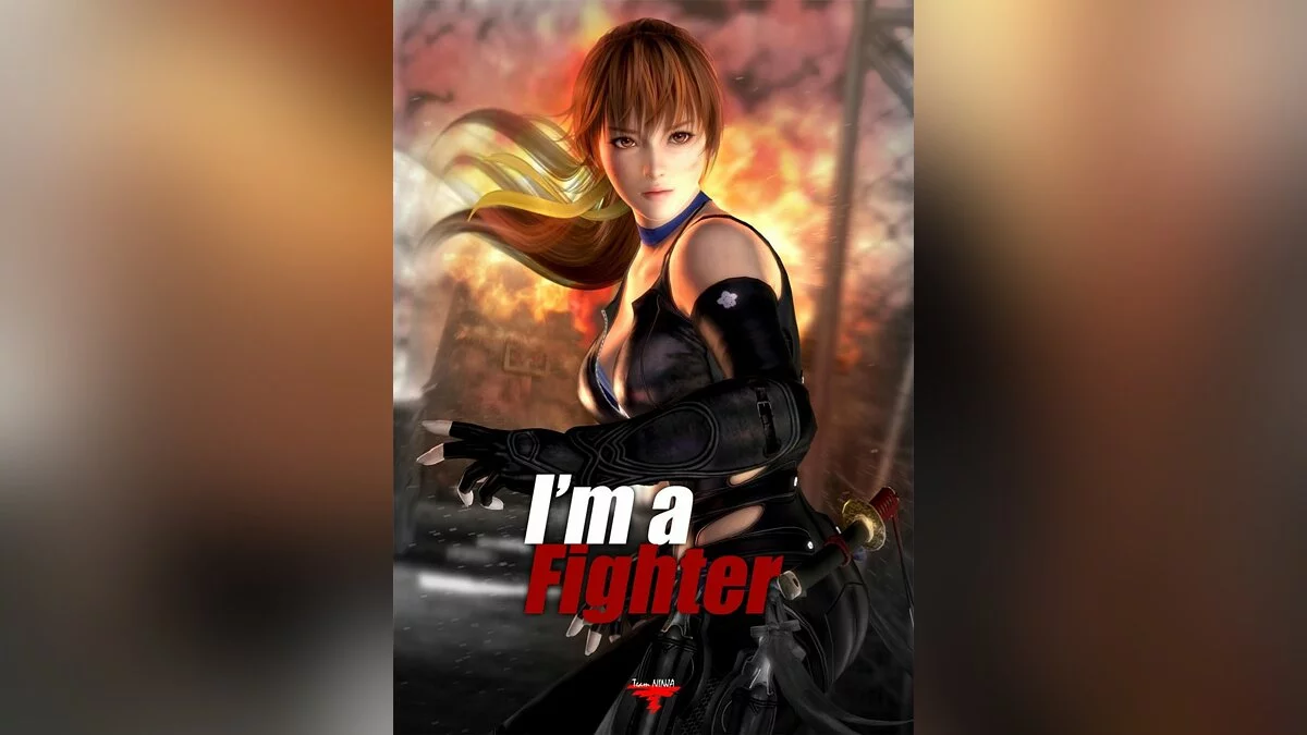 Арт из Dead or Alive 5 / Картинка 31