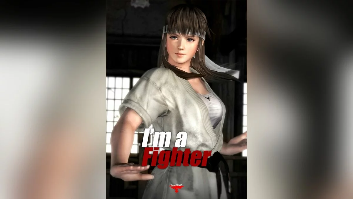 Арт из Dead or Alive 5 / Картинка 33