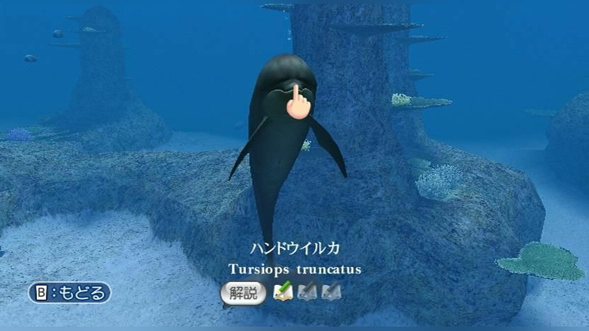 Endless ocean. Endless Ocean игра. Endless Ocean Wii. Endless Ocean 2007. Endless Ocean of wealthy.