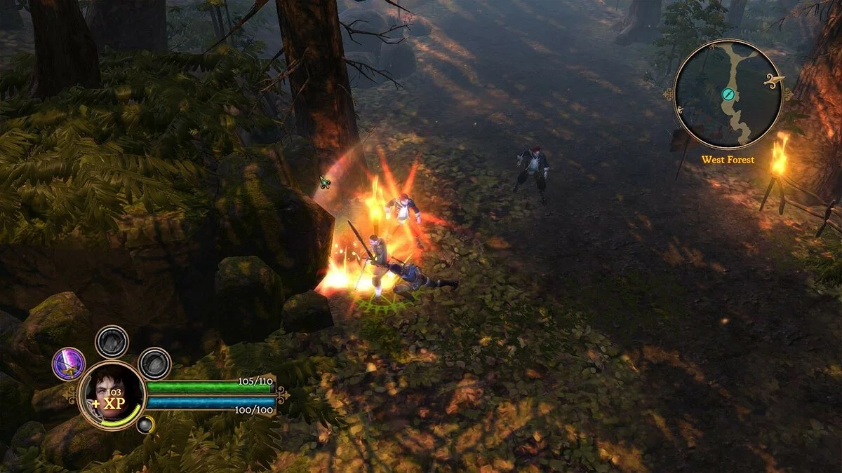 Скриншоты из Dungeon Siege 3 / Картинка 72