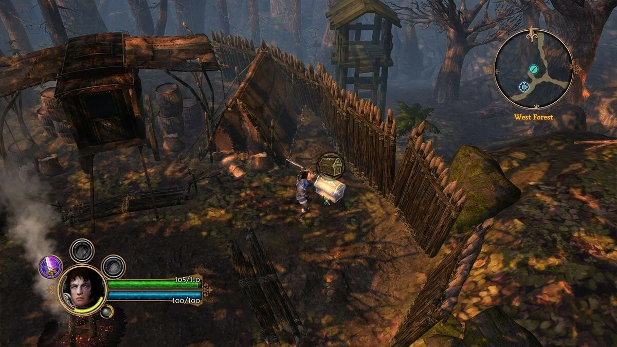 Скриншоты из Dungeon Siege 3 / Картинка 74