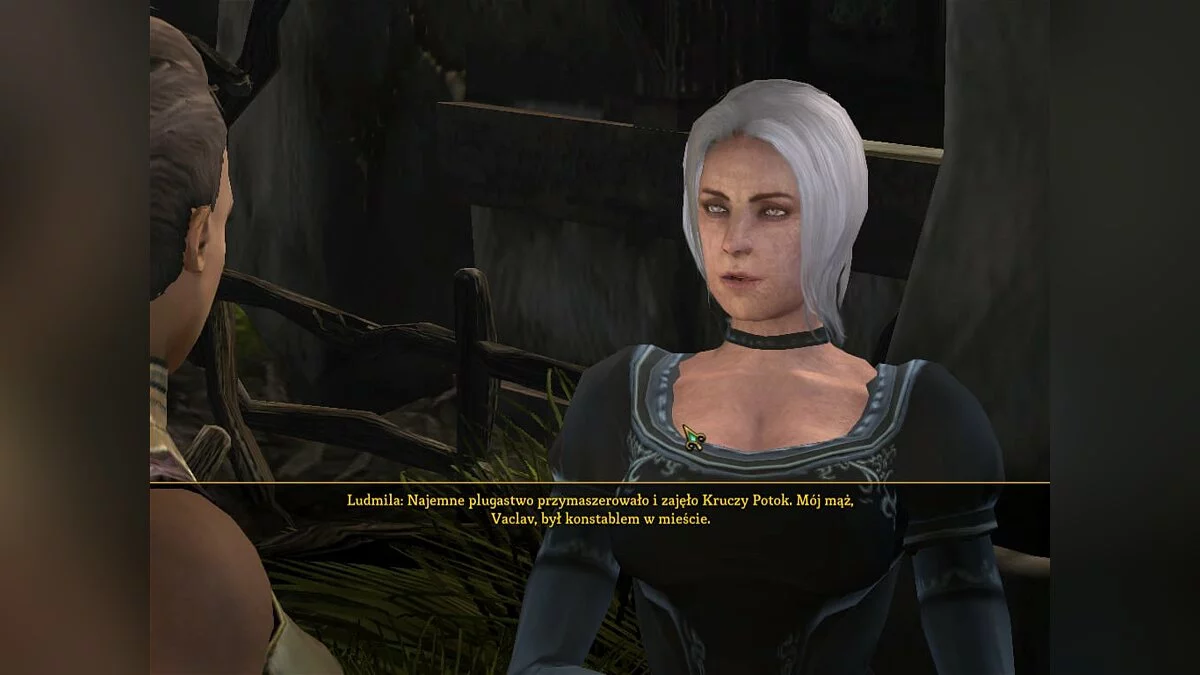 Скриншоты из Dungeon Siege 3 / Картинка 88