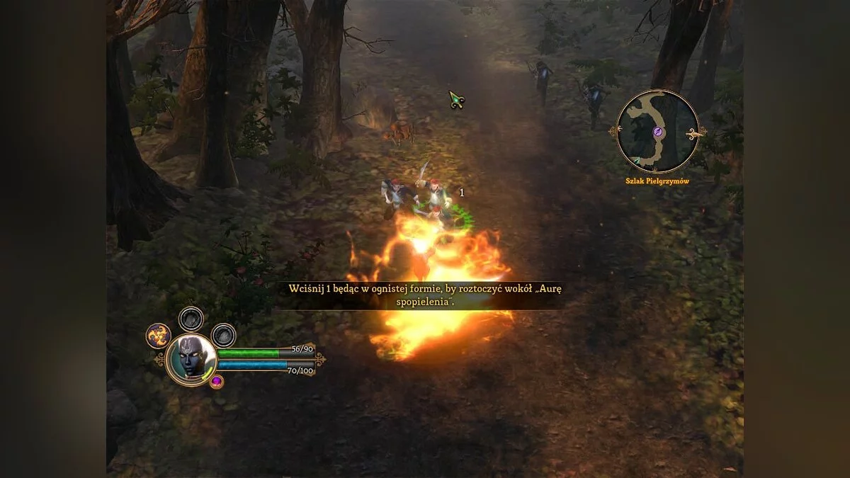 Скриншоты из Dungeon Siege 3