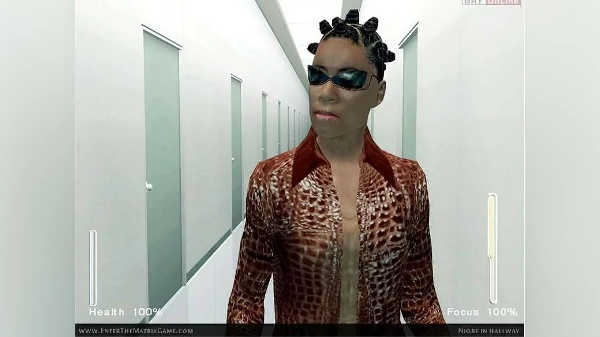 Скриншоты из Enter the Matrix / Картинка 124