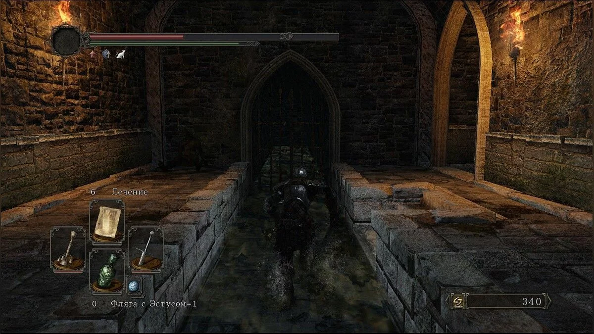 Скриншоты из Dark Souls 2 / Картинка 191