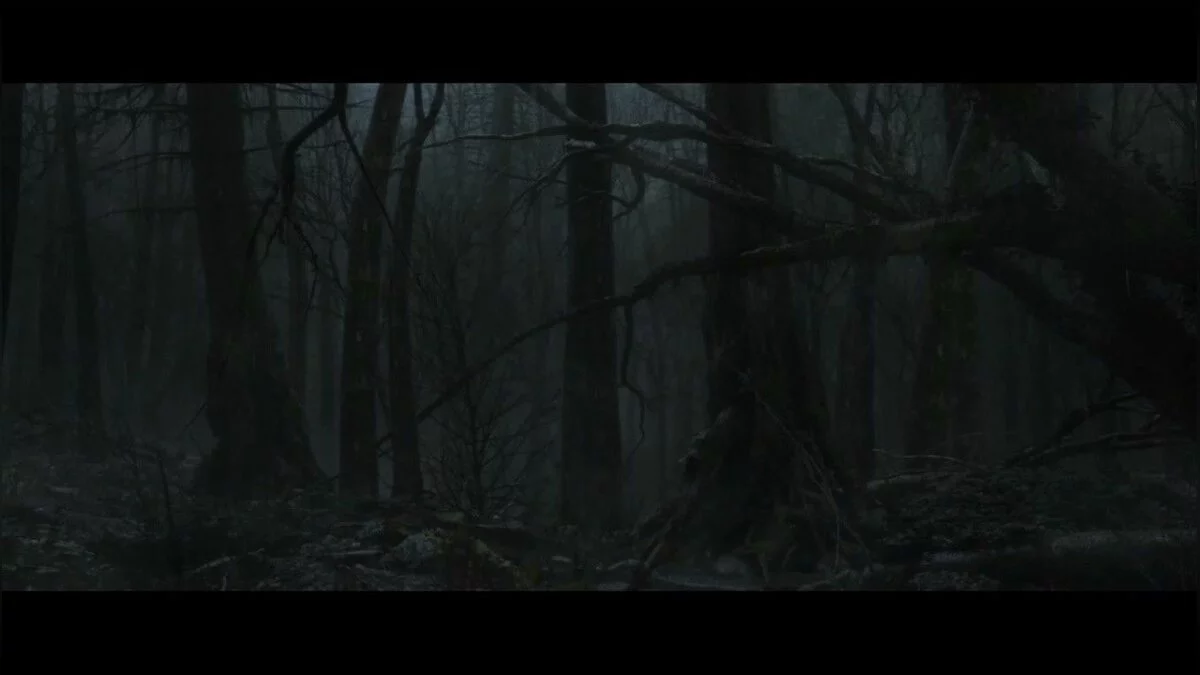 Скриншоты из Dark Souls 2 / Картинка 206