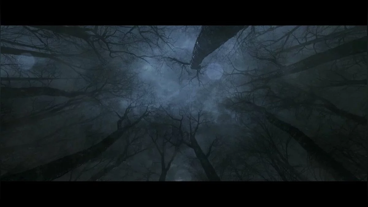 Скриншоты из Dark Souls 2 / Картинка 207