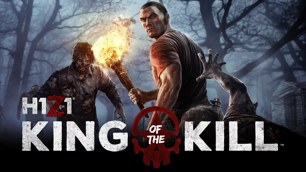 Арт из Z1 Battle Royale