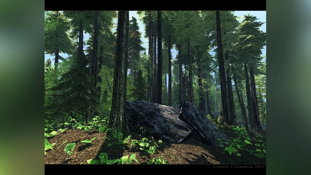 Картинка из 