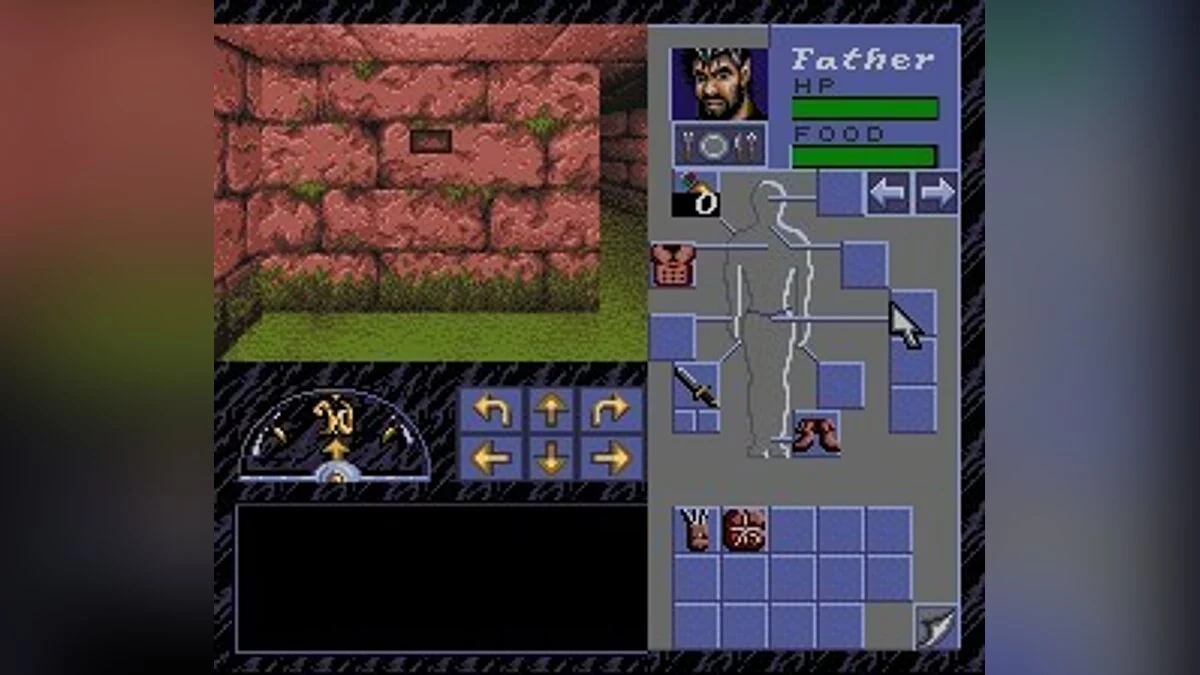 Скриншоты из Eye of the Beholder