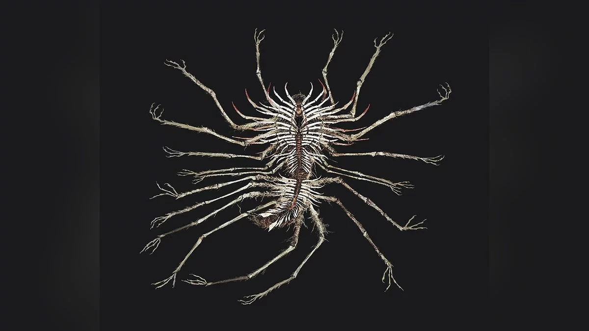 Арт из Dark Souls 3 / Картинка 154