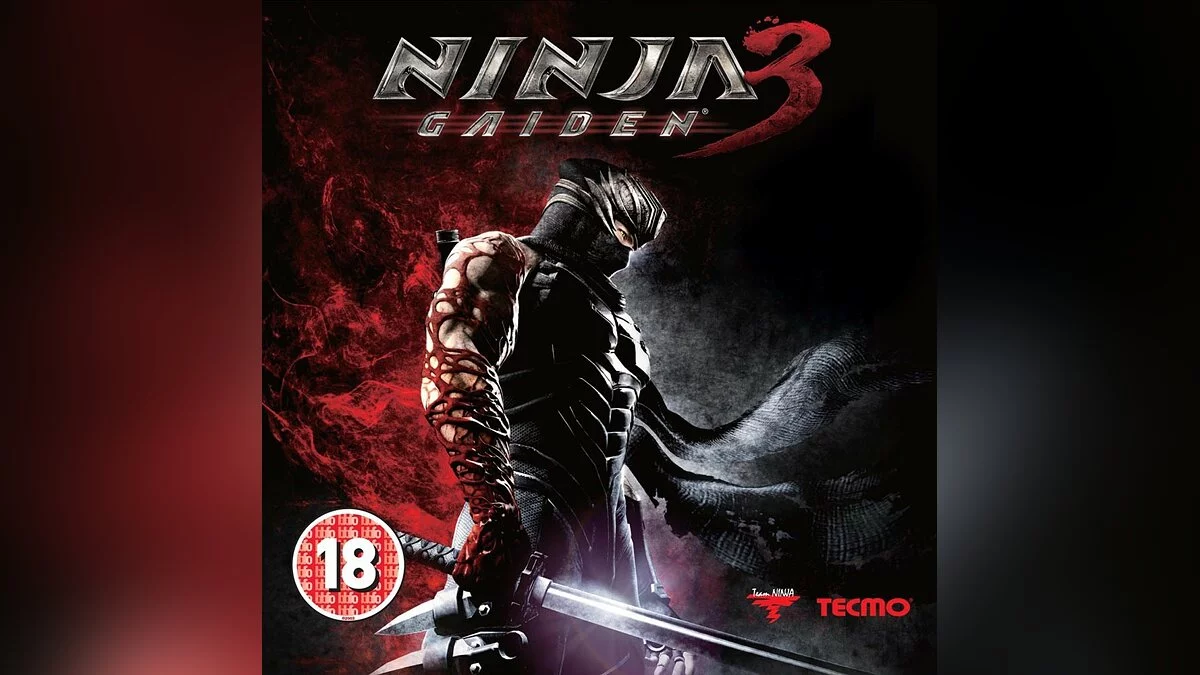 Арт из Ninja Gaiden 3