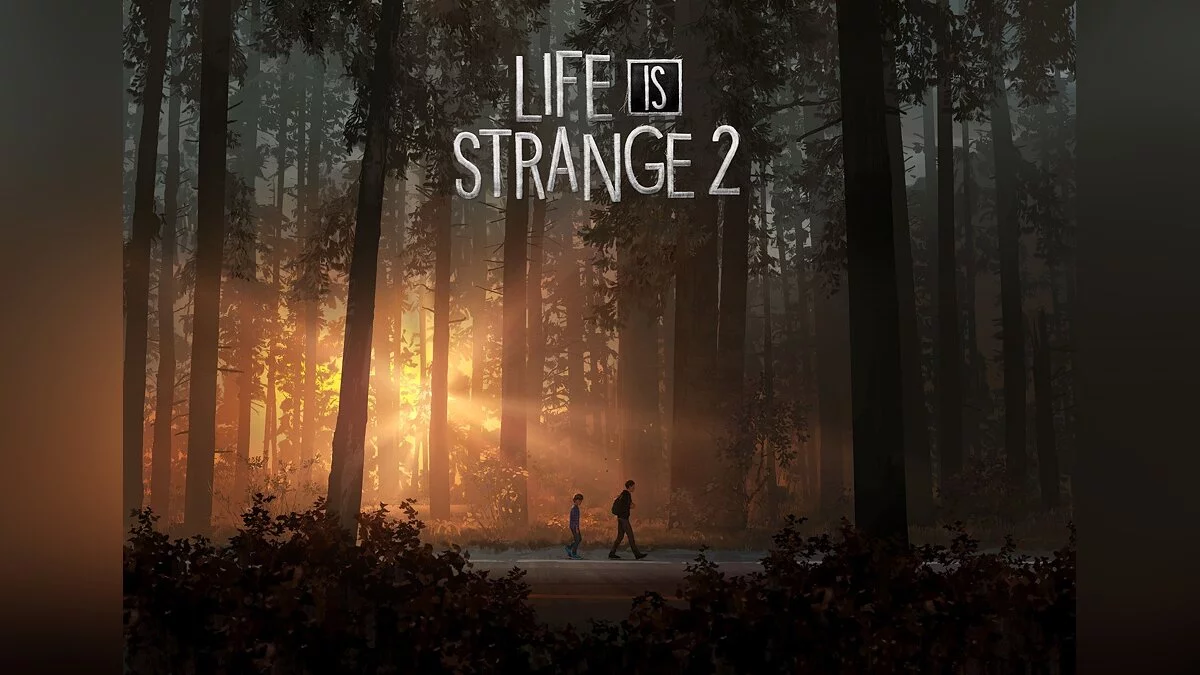 Арт из Life is Strange 2