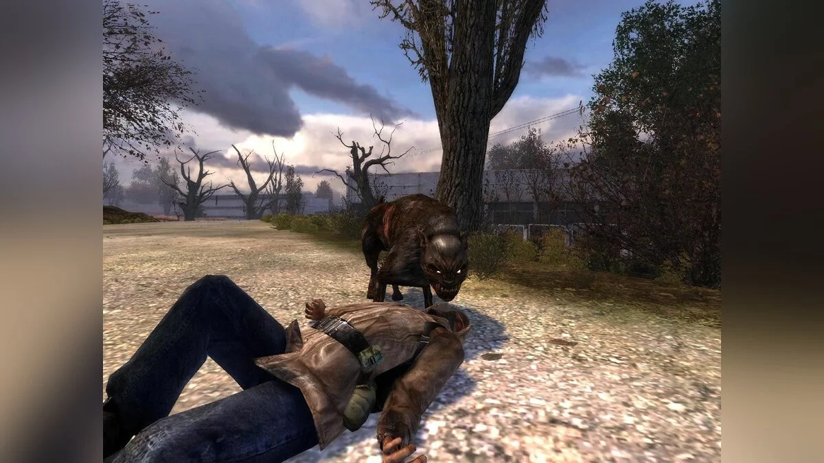 Скриншоты из S.T.A.L.K.E.R.: Shadow of Chernobyl / Картинка 16