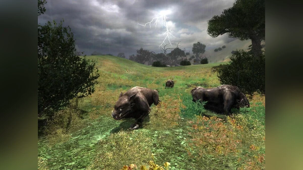 Скриншоты из S.T.A.L.K.E.R.: Shadow of Chernobyl / Картинка 9