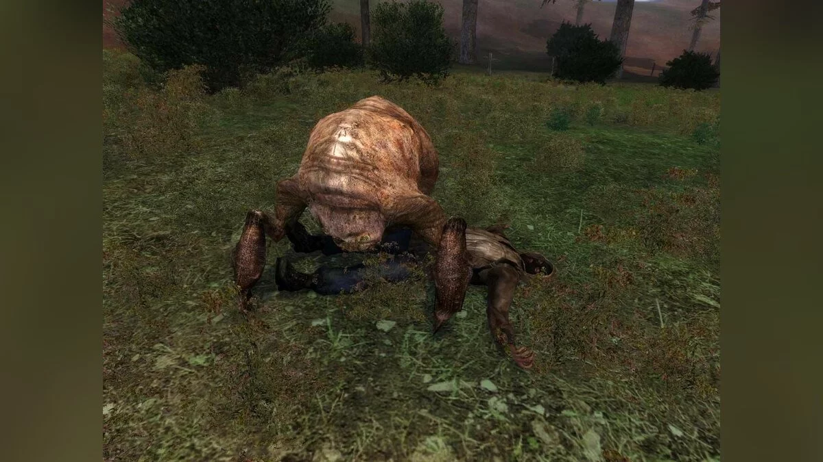 Скриншоты из S.T.A.L.K.E.R.: Shadow of Chernobyl / Картинка 5