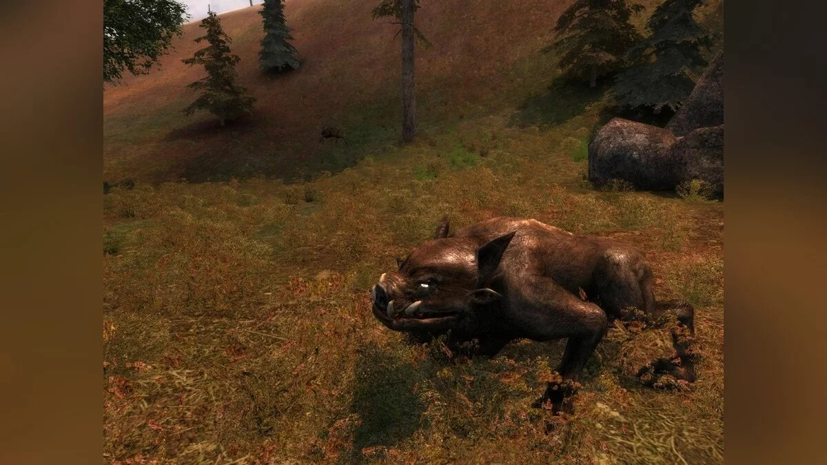 Скриншоты из S.T.A.L.K.E.R.: Shadow of Chernobyl / Картинка 80