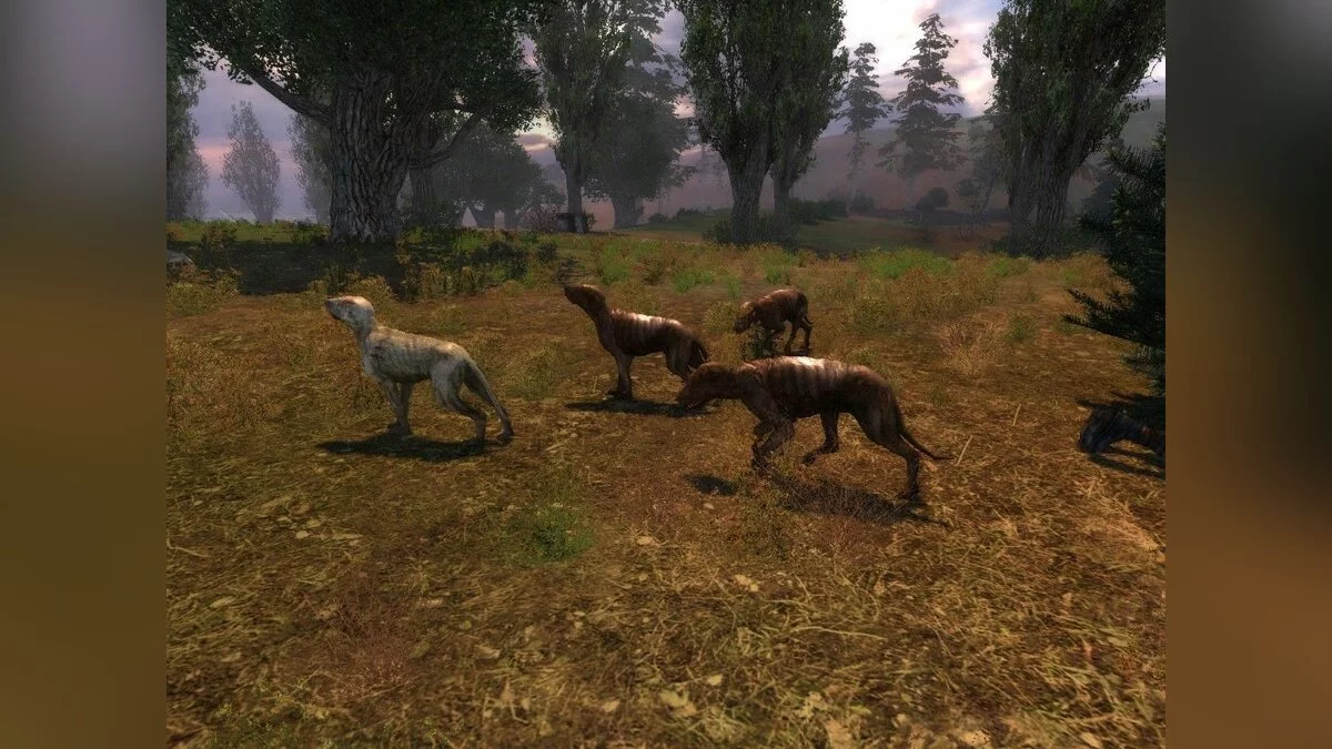 Скриншоты из S.T.A.L.K.E.R.: Shadow of Chernobyl / Картинка 84